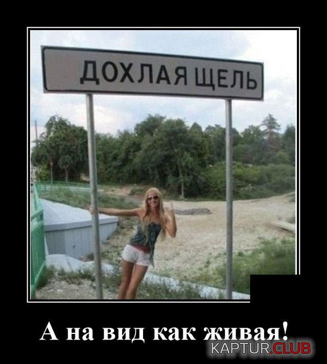 1596641275_demotivatory_09.jpg | Рено Каптур Клуб Россия | Форум KAPTUR.SU
