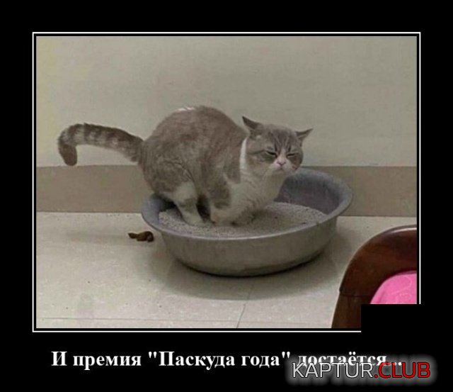 1596801644_demotivatory_08.jpg | Рено Каптур Клуб Россия | Форум KAPTUR.SU