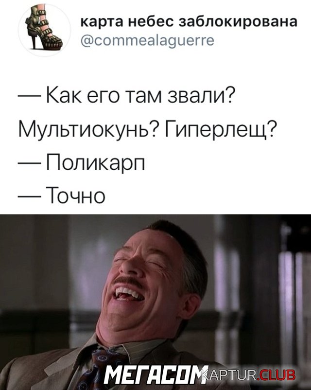 1597246869_podb_18.jpg | Рено Каптур Клуб Россия | Форум KAPTUR.SU