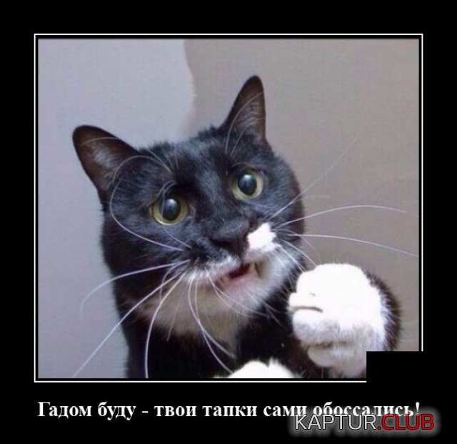 1597417152_demotivatory_20.jpg | Рено Каптур Клуб Россия | Форум KAPTUR.SU