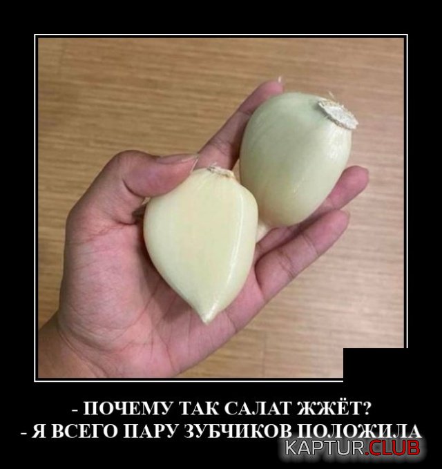 1597918066_demotivatory_11.jpg | Рено Каптур Клуб Россия | Форум KAPTUR.SU