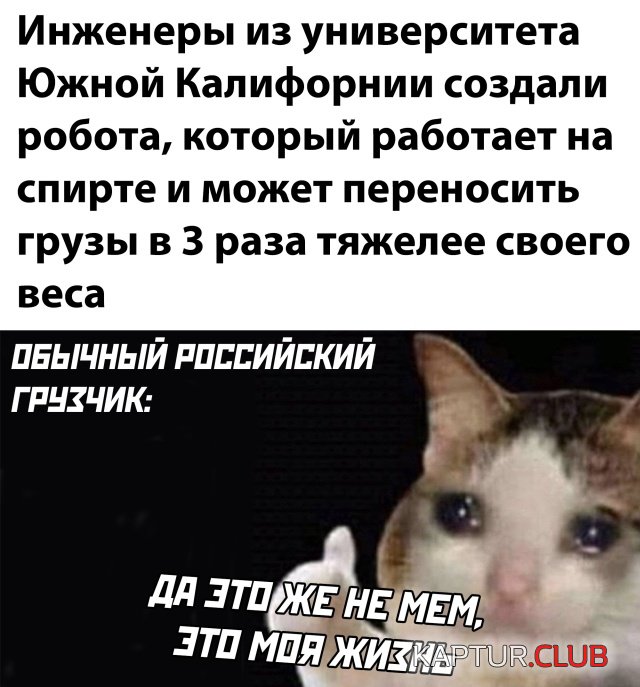 1598262332_podb_03.jpg | Рено Каптур Клуб Россия | Форум KAPTUR.SU