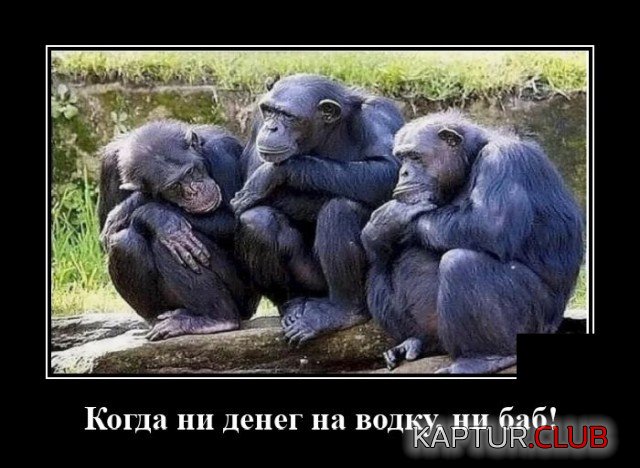 1598354310_demotivatory_17.jpg | Рено Каптур Клуб Россия | Форум KAPTUR.SU