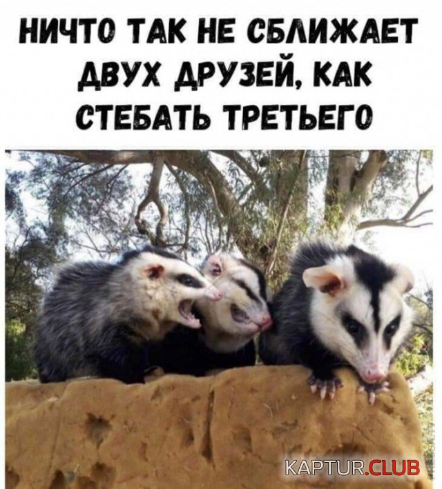 1598516229_1598368461_podb_vecher_01.jpg | Рено Каптур Клуб Россия | Форум KAPTUR.SU