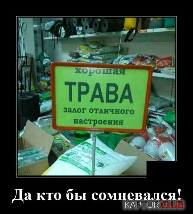 1598536493_demotivatory_14.jpg | Рено Каптур Клуб Россия | Форум KAPTUR.SU