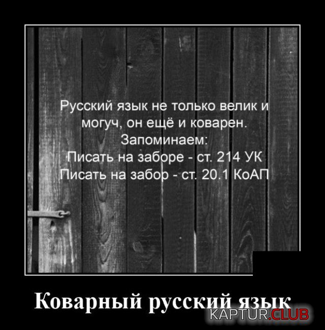 1598536558_demotivatory_09.jpg | Рено Каптур Клуб Россия | Форум KAPTUR.SU