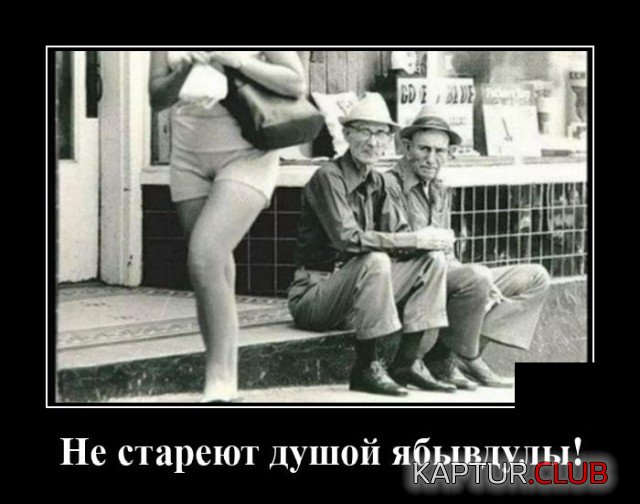 1598621714_demotivatory_08.jpg | Рено Каптур Клуб Россия | Форум KAPTUR.SU