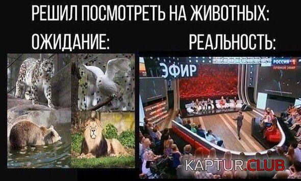 1598860626_199821_12_trinixy_ru.jpg | Рено Каптур Клуб Россия | Форум KAPTUR.SU