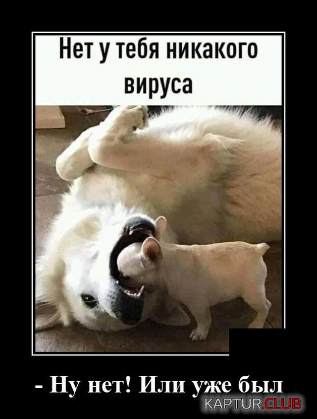 1598860901_1598536567_demotivatory_07.jpg | Рено Каптур Клуб Россия | Форум KAPTUR.SU