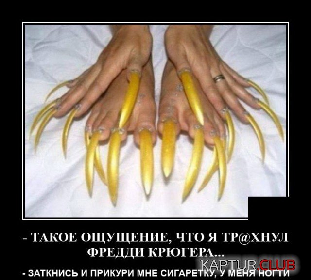 1598860918_1598536471_demotivatory_17.jpg | Рено Каптур Клуб Россия | Форум KAPTUR.SU