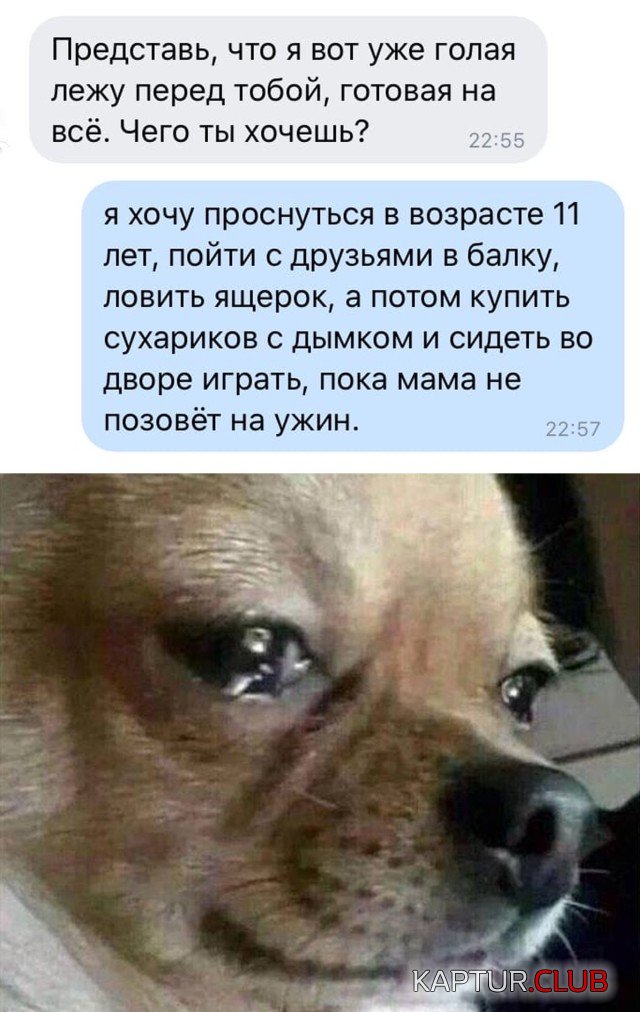 1598863095_podb_27.jpg | Рено Каптур Клуб Россия | Форум KAPTUR.SU