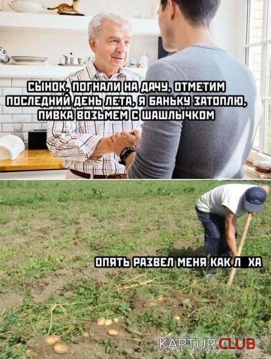 1598887519_podb_06.jpg | Рено Каптур Клуб Россия | Форум KAPTUR.SU