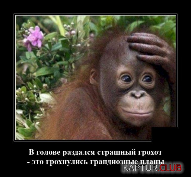1598969560_demotivatory_15.jpg | Рено Каптур Клуб Россия | Форум KAPTUR.SU