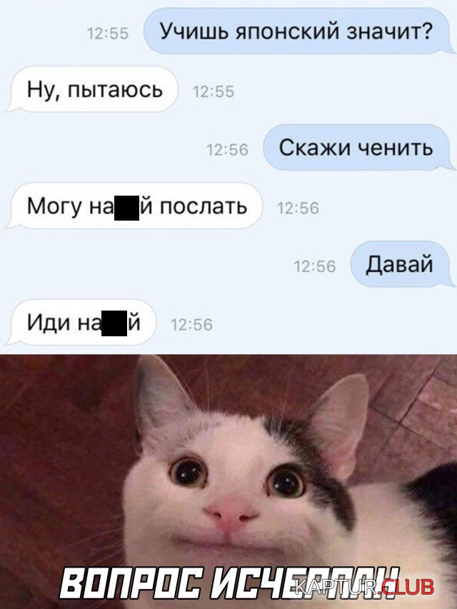 1599141026_1598971593_podb_vecher_01.jpg | Рено Каптур Клуб Россия | Форум KAPTUR.SU