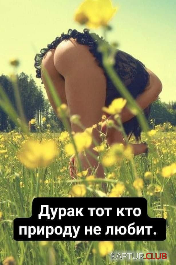 1599141076_275.jpg | Рено Каптур Клуб Россия | Форум KAPTUR.SU