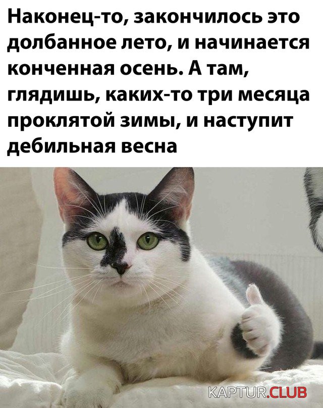 1599145667_podb_vecher_33.jpg | Рено Каптур Клуб Россия | Форум KAPTUR.SU