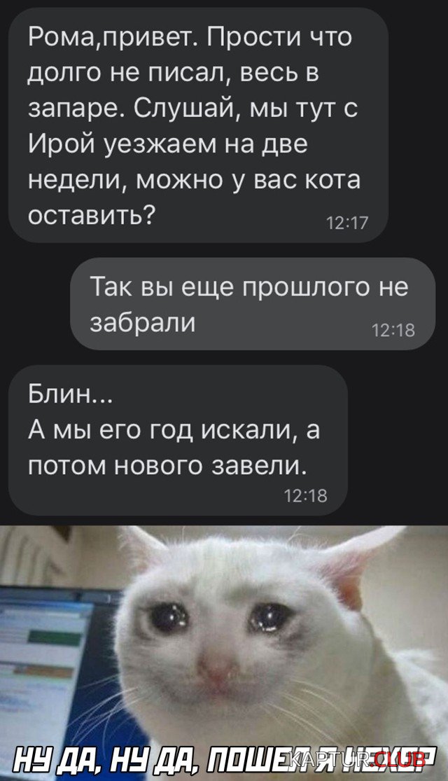 1599489995_podb_vecher_03.jpg | Рено Каптур Клуб Россия | Форум KAPTUR.SU