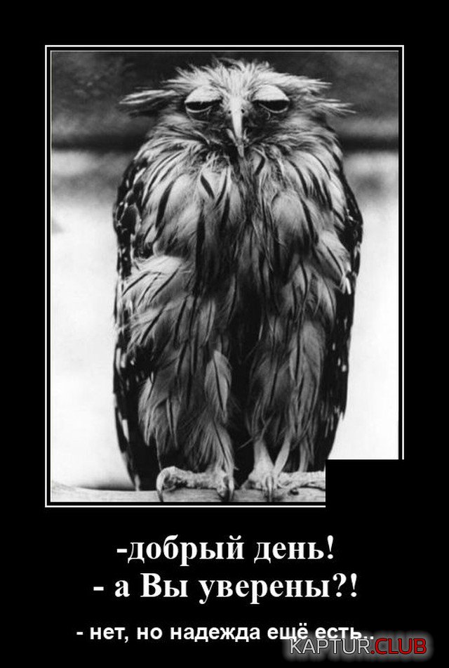 1599568217_demotivatory_13.jpg | Рено Каптур Клуб Россия | Форум KAPTUR.SU