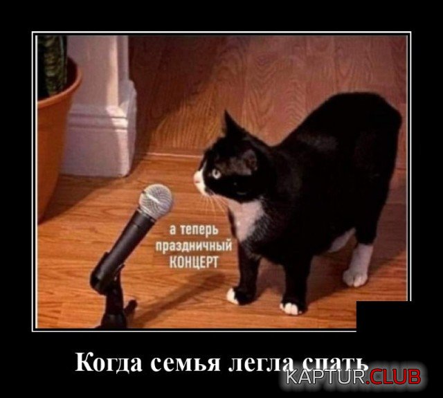 1599994014_1599748242_demotivatory_14.jpg | Рено Каптур Клуб Россия | Форум KAPTUR.SU