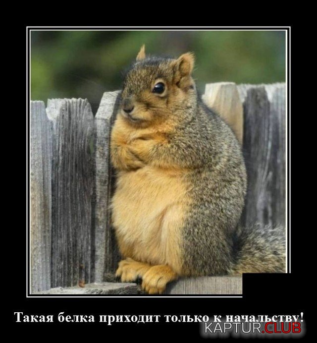 1599994102_1599748277_demotivatory_06.jpg | Рено Каптур Клуб Россия | Форум KAPTUR.SU