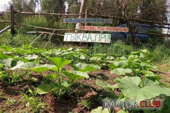 15fb56e919ae9bdcdd66ceaff8d_prev.jpg | Рено Каптур Клуб Россия | Форум KAPTUR.SU