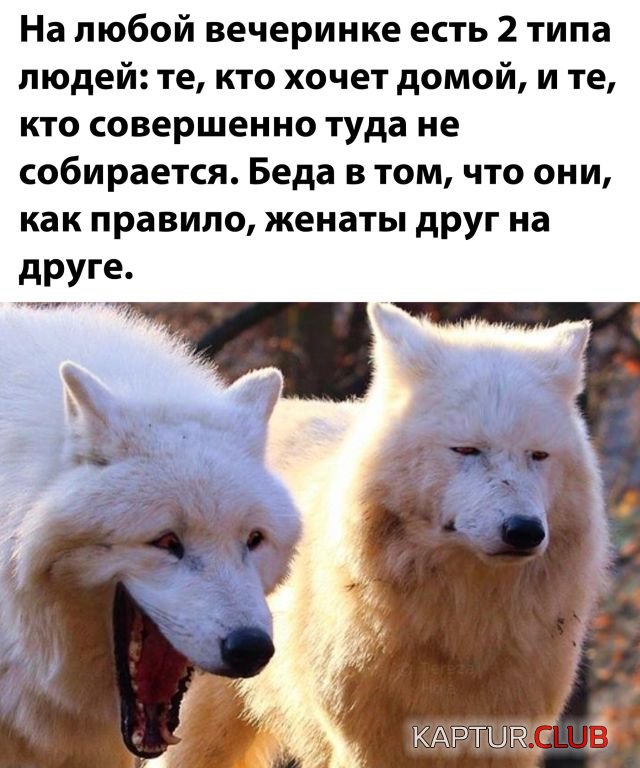 1600071067_podb_30.jpg | Рено Каптур Клуб Россия | Форум KAPTUR.SU
