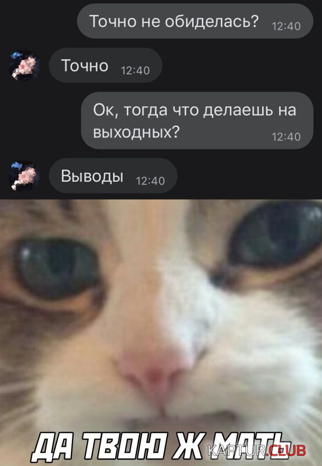1600242700_1600095567_podb_vecher_02.jpg | Рено Каптур Клуб Россия | Форум KAPTUR.SU