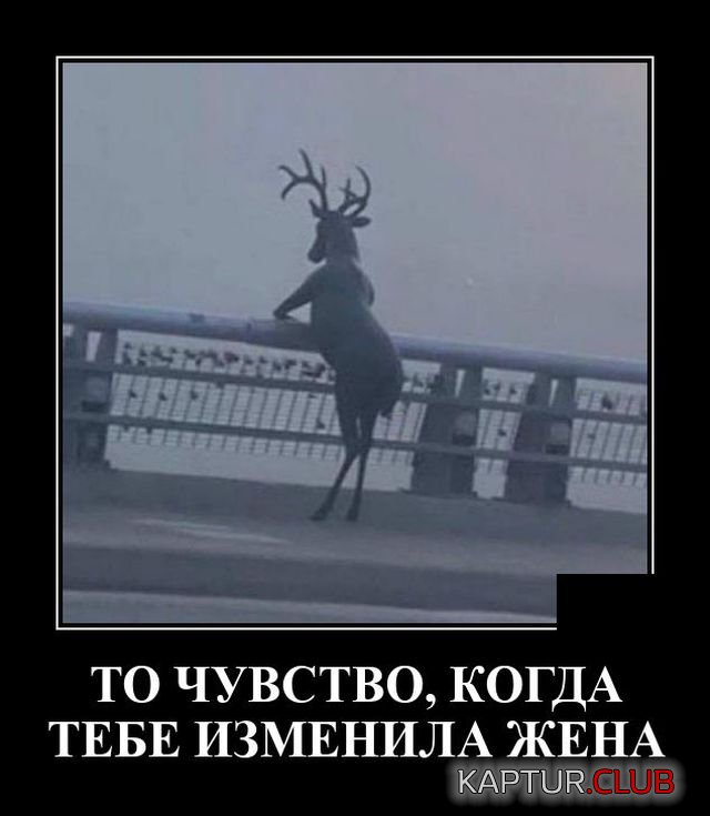 1600262883_demotivatory_18.jpg | Рено Каптур Клуб Россия | Форум KAPTUR.SU
