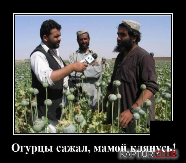 1600352265_demotivatory_10.jpg | Рено Каптур Клуб Россия | Форум KAPTUR.SU