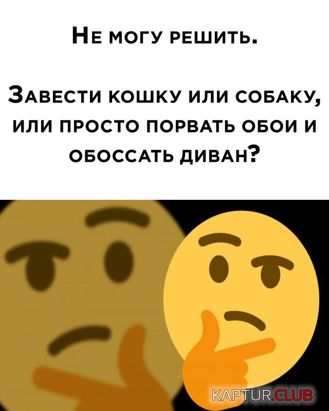 1600421557_podb_27.jpg | Рено Каптур Клуб Россия | Форум KAPTUR.SU