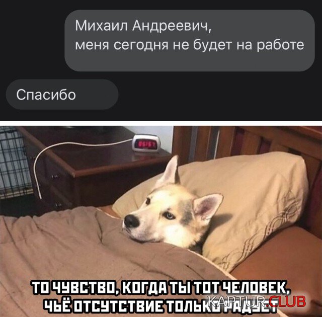 1600421584_podb_24.jpg | Рено Каптур Клуб Россия | Форум KAPTUR.SU