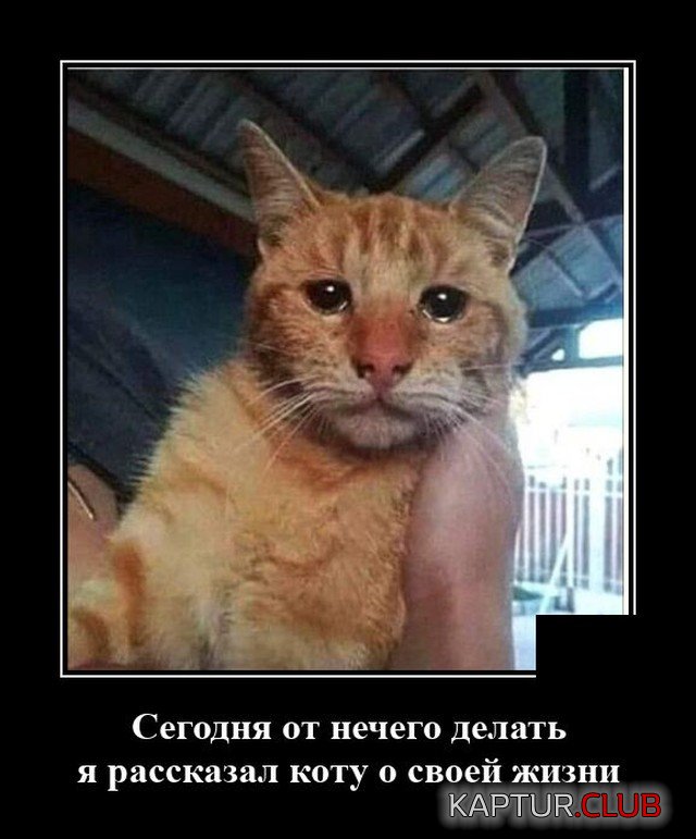 1600438563_demotivatory_05.jpg | Рено Каптур Клуб Россия | Форум KAPTUR.SU