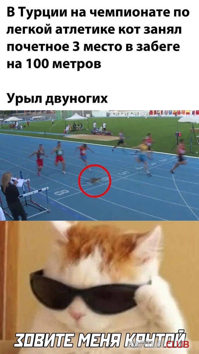 1600678198_podb_02.jpg | Рено Каптур Клуб Россия | Форум KAPTUR.SU