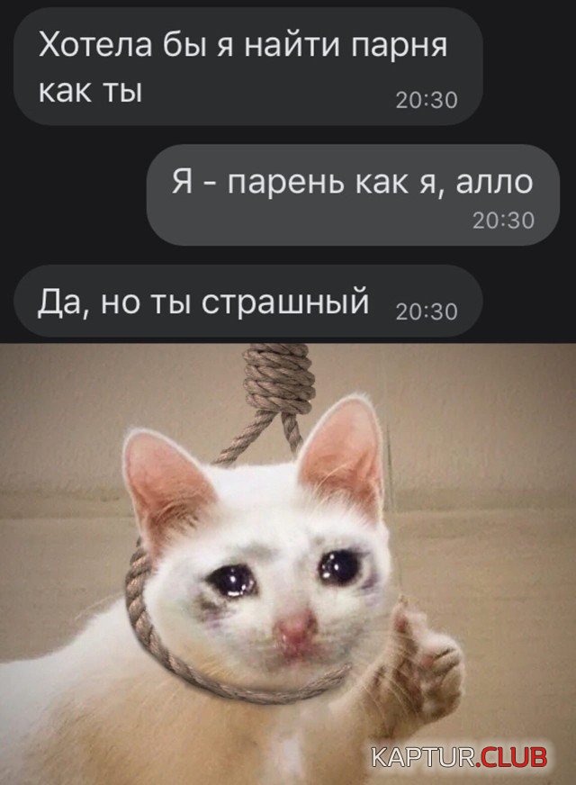 1600700016_podb_04.jpg | Рено Каптур Клуб Россия | Форум KAPTUR.SU