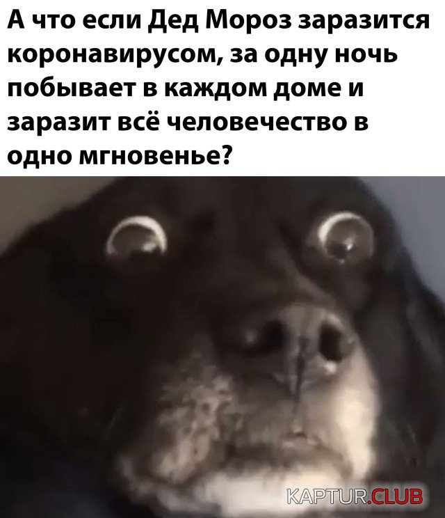 1600875542_podb_vecher_28.jpg | Рено Каптур Клуб Россия | Форум KAPTUR.SU