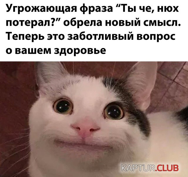 1601284966_podb_01.jpg | Рено Каптур Клуб Россия | Форум KAPTUR.SU