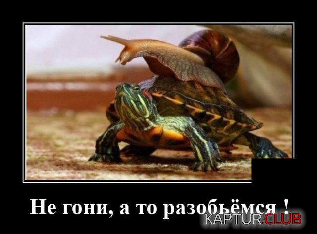 1601302515_demotivatory_05.jpg | Рено Каптур Клуб Россия | Форум KAPTUR.SU