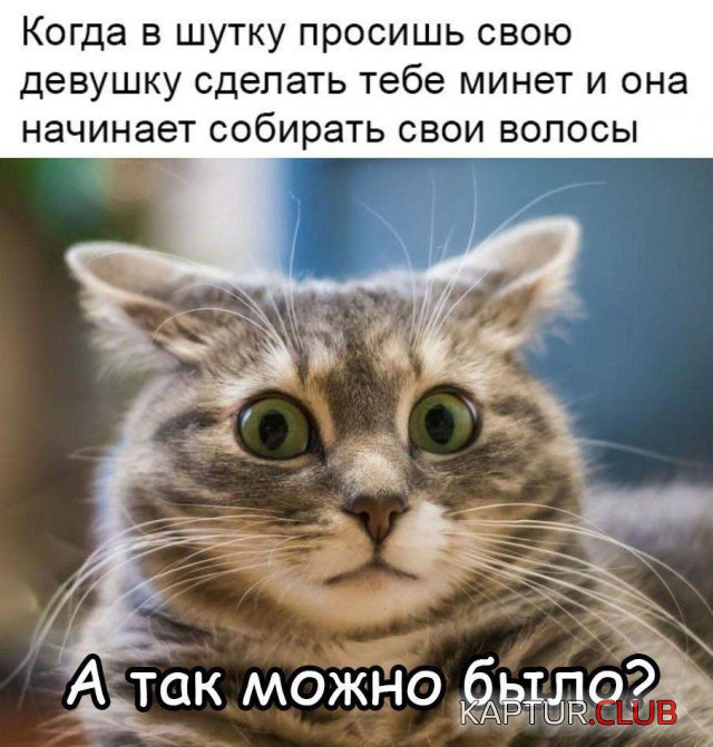 1601364660_201312_11_trinixy_ru.jpg | Рено Каптур Клуб Россия | Форум KAPTUR.SU