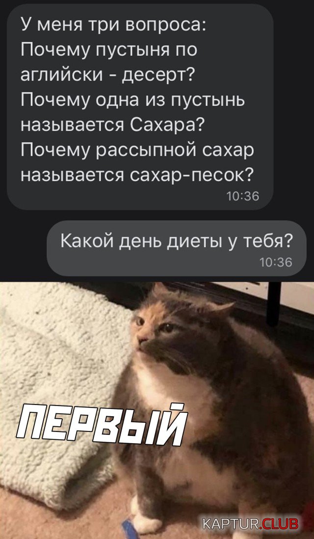 1601372040_podb_25.jpg | Рено Каптур Клуб Россия | Форум KAPTUR.SU