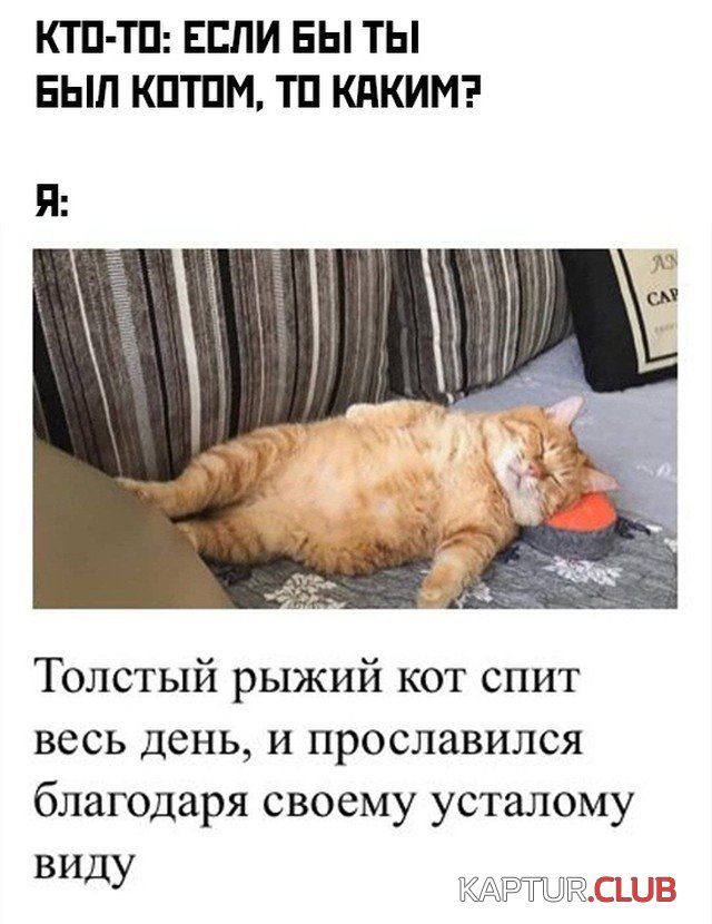 1601566453_podb_vecher_30.jpg | Рено Каптур Клуб Россия | Форум KAPTUR.SU