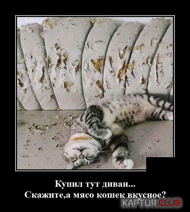 1602072606_demotivatory_02.jpg | Рено Каптур Клуб Россия | Форум KAPTUR.SU