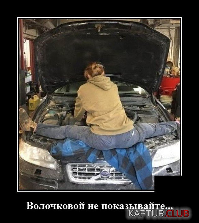 1602163046_demotivatory_07.jpg | Рено Каптур Клуб Россия | Форум KAPTUR.SU