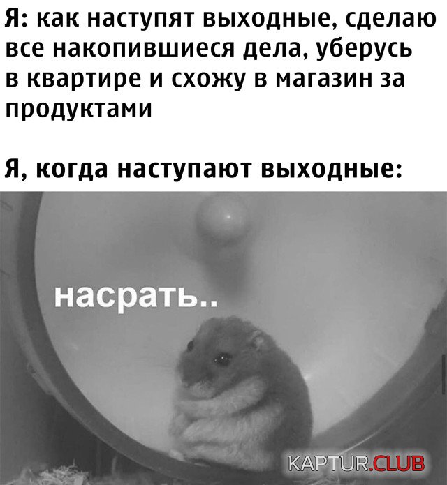 1602169422_podb_vecher_27.jpg | Рено Каптур Клуб Россия | Форум KAPTUR.SU