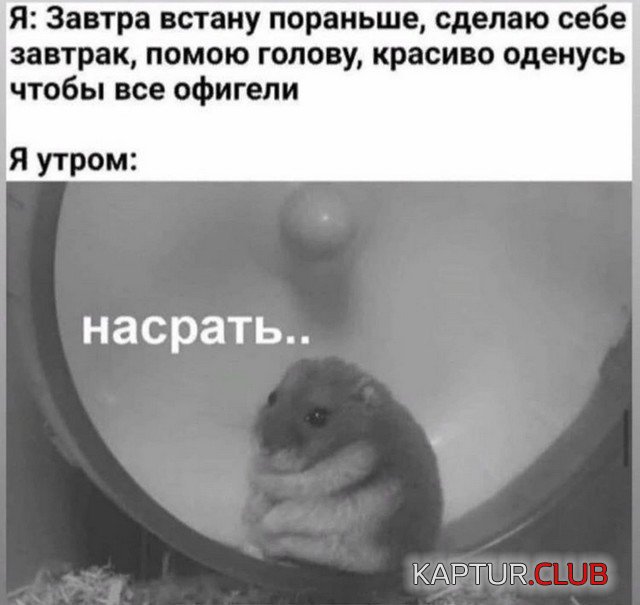 1602486966_201961_2_trinixy_ru.jpg | Рено Каптур Клуб Россия | Форум KAPTUR.SU