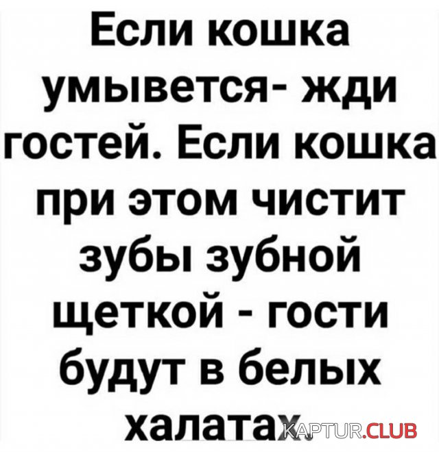 1602486967_201961_11_trinixy_ru.jpg | Рено Каптур Клуб Россия | Форум KAPTUR.SU