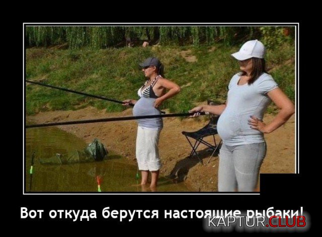 1602512956_demotivatory_18.jpg | Рено Каптур Клуб Россия | Форум KAPTUR.SU