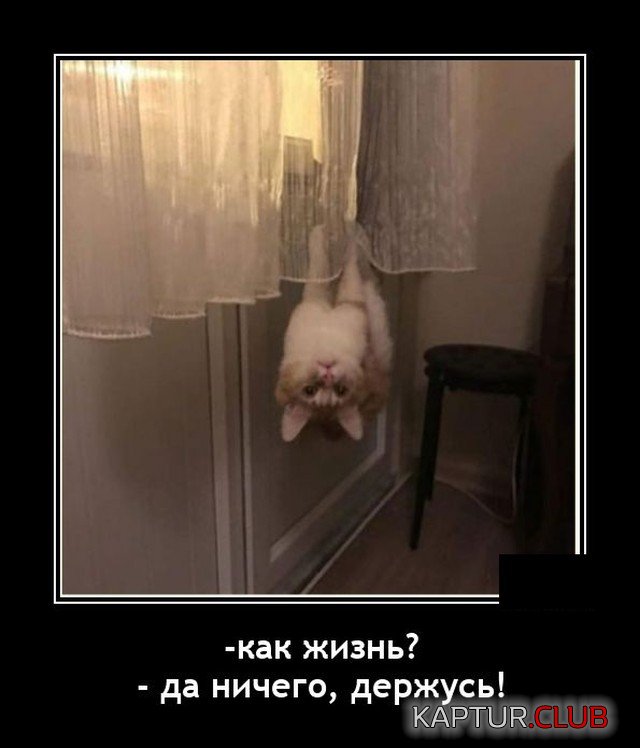 1602513024_demotivatory_13.jpg | Рено Каптур Клуб Россия | Форум KAPTUR.SU
