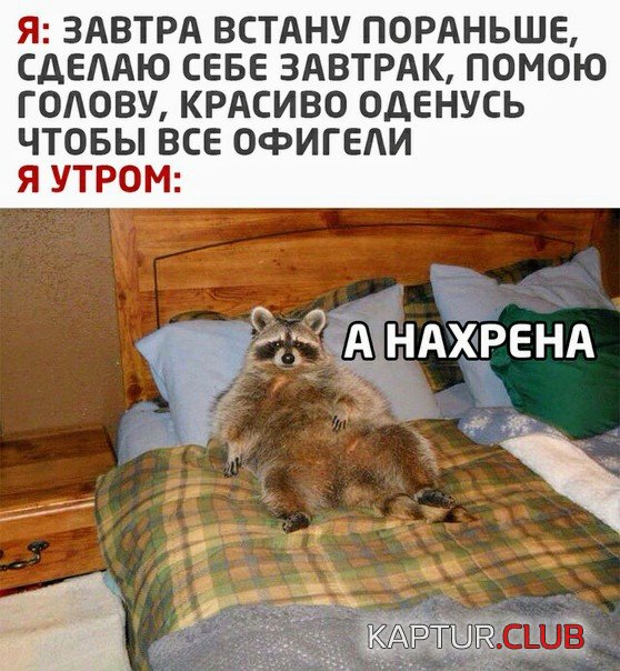 1602517947_podb_vecher_06.jpg | Рено Каптур Клуб Россия | Форум KAPTUR.SU