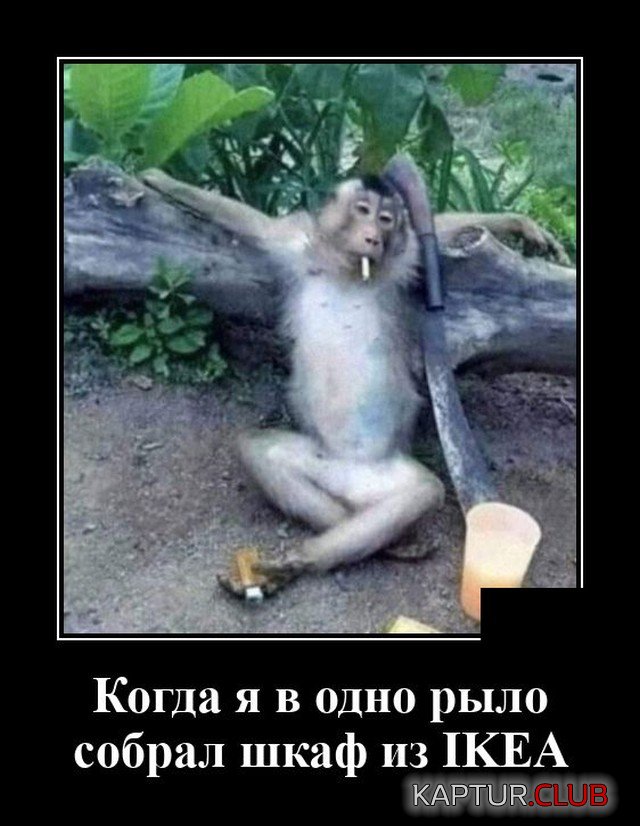 1602600724_demotivatory_06.jpg | Рено Каптур Клуб Россия | Форум KAPTUR.SU