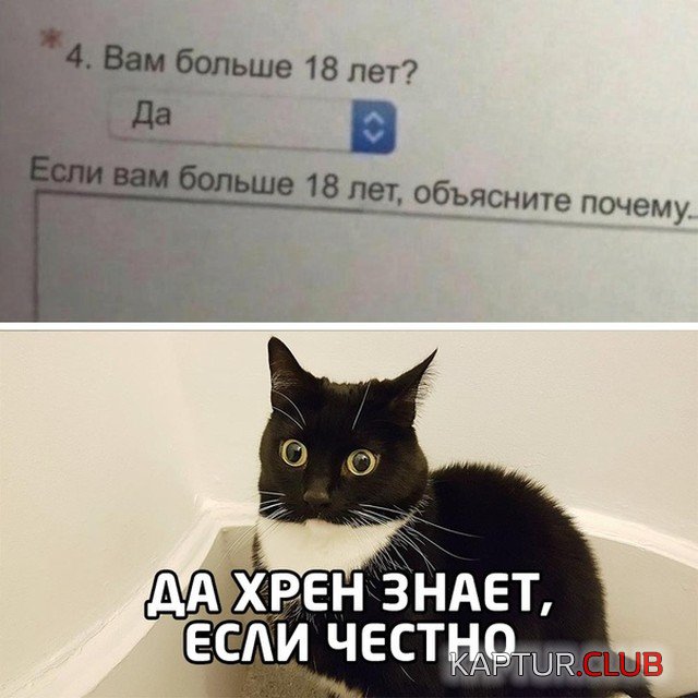 1602686003_podb_vecher_04.jpg | Рено Каптур Клуб Россия | Форум KAPTUR.SU